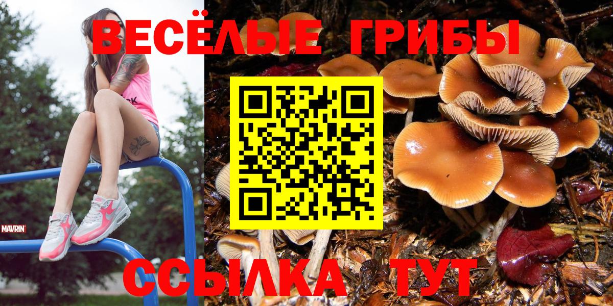 Новый Уренгой  Псилоцибиновые грибы GOLDEN TEACHER  Вход с VPN  Псилоцибиновые грибы Magic Shrooms 