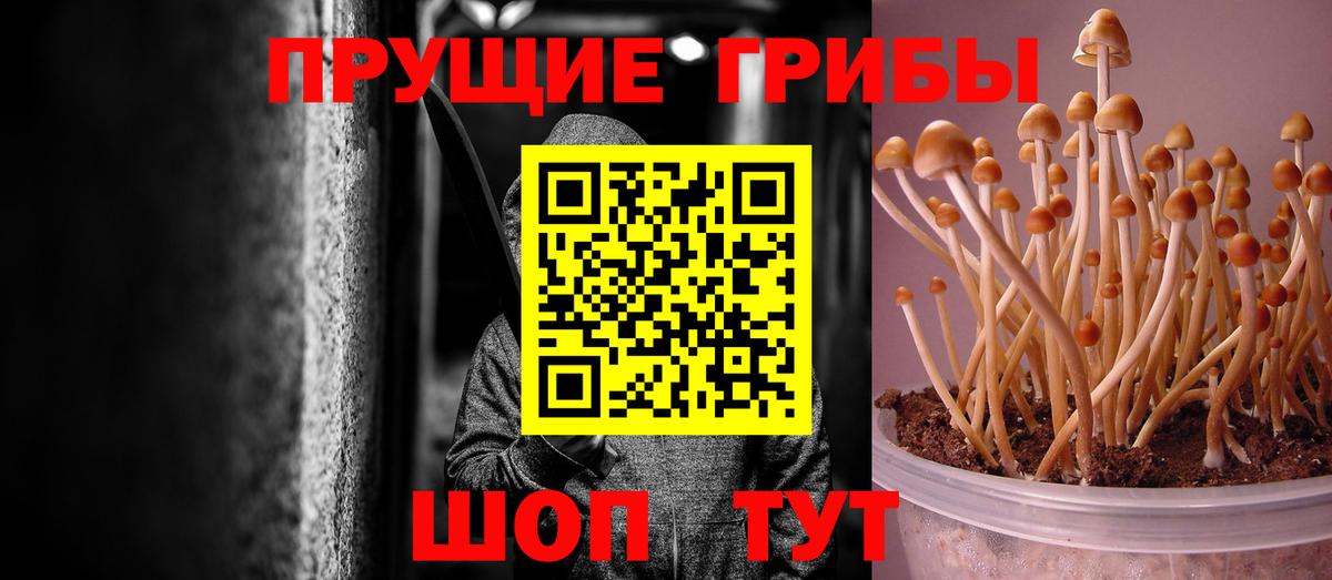 Псилоцибиновые грибы мицелий Новый Уренгой
